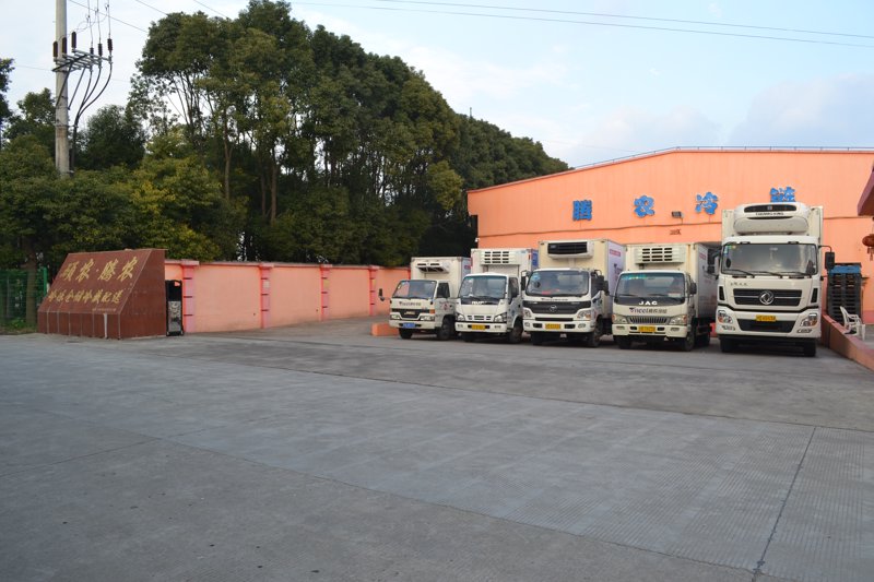 北京物流公司:高效保障城市物流大动脉